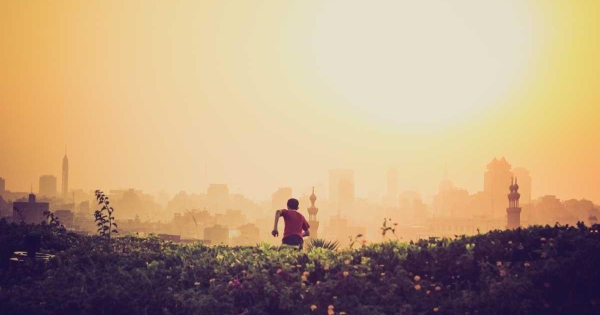 Bonobo Shows Imagination • CEFR B2 News for English Learners