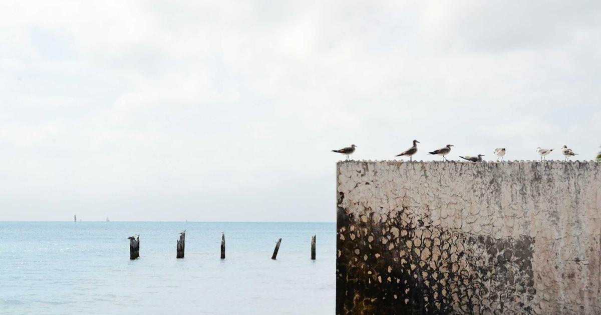 Anomalous PeV Neutrino Event Catalyzes Discourse on Quasi-Extremal Primordial Black Holes and Dark Sector Physics • English News C2