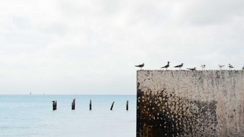 Go Through ってどういう意味？ • 使い果たす • Nonstop English